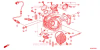CULASSE pour Honda SUPER CUB 50 PRO 2023