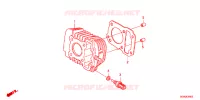 CYLINDRE pour Honda SUPER CUB 50 PRO 2023