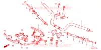 GUIDON pour Honda SUPER CUB 50 PRO 2023