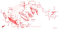 RADIATEUR   VASE D'EXPANSION pour Honda REBEL 1100 2022