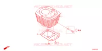 CYLINDRE pour Honda CRF 125 F BIG WHEELS 2023