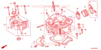 CULASSE pour Honda CRF 150 R BIG WHEELS 2023