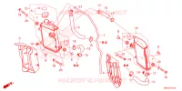 RADIATEUR pour Honda CRF 450 R 50TH 2023
