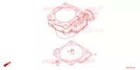 CYLINDRE pour Honda CRF 450 RWE 2023