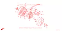 ALTERNATEUR pour Honda CRF 50 2023