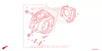 CULASSE pour Honda CRF 50 2023