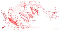 RADIATEUR   VASE D'EXPANSION pour Honda REBEL 1100 2023