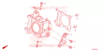 CYLINDRE pour Honda SH 125 SPORTY 3ED 2023