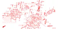 CULASSE pour Honda PIONEER 700 M4 2022