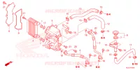 RADIATEUR D'HUILE pour Honda PIONEER 700 M4 2022