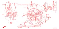 CULASSE pour Honda CRF 150 R 2014
