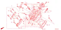 CULASSE pour Honda CB 125 R 2023