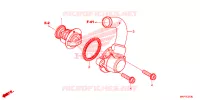 THERMOSTAT pour Honda CB 500 X ABS 2023