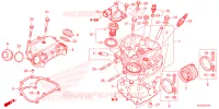 CULASSE pour Honda PIONEER 520 M2 2023