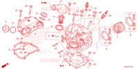 CULASSE pour Honda FOURTRAX 520 RUBICON 4X4 AT DCT 2023