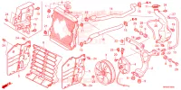 RADIATEUR pour Honda FOURTRAX 520 RUBICON 4X4 AT DCT 2023