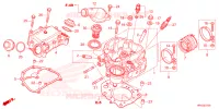 CULASSE pour Honda FOURTRAX 520 FOREMAN 4X4 ES PS 2023