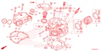 CULASSE pour Honda FOURTRAX 520 FOREMAN 4X4 EPS 2023