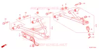 TRIANGLES AVANT pour Honda FOURTRAX 420 RANCHER 4X4 Electric Shift 2024