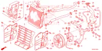 RADIATEUR pour Honda FOURTRAX 520 RUBICON DCT IRS EPS 2023