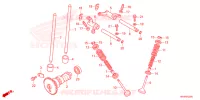 ARBRE A CAMES   SOUPAPE pour Honda FOURTRAX 520 FOREMAN 4X4 BASE 2024