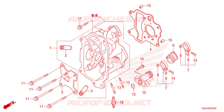 CULASSE Honda SCOOTER 50 RUCKUS 2024  NPS50R