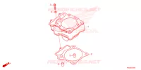 CYLINDRE pour Honda CRF 250 RX 2024