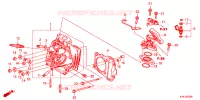 CULASSE pour Honda CRF 110 2024