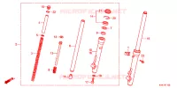FOURCHE pour Honda CRF 110 2024