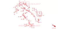 SILENCIEUX D'ECHAPPEMENT pour Honda CRF 110 2024