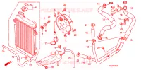 RADIATEUR pour Honda SH 300 2007