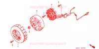 ALTERNATEUR pour Honda TACT 50 1998