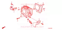 CYLINDRE pour Honda LITTLE CUB 50 CELL 2008