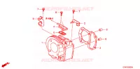 CYLINDRE pour Honda LEAD 110 EX 2008