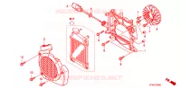 VENTILATEUR ET COUVERCLE DE RADIATEUR pour Honda LEAD 110 EX 2008