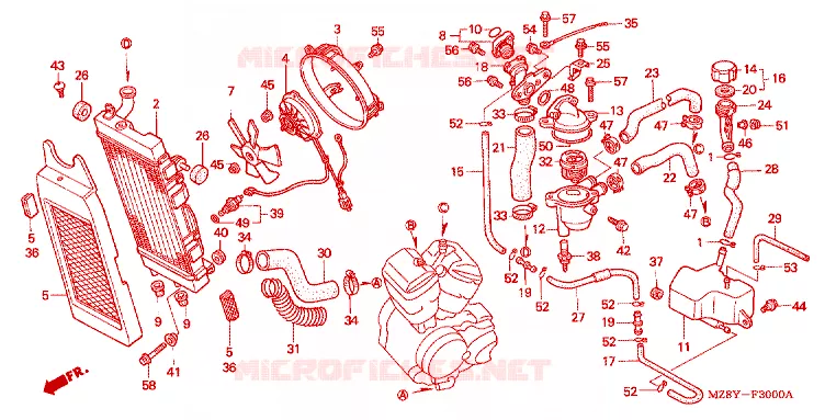 RADIATEUR Honda MOTO 600 SHADOW 2000  VT600CD2Y