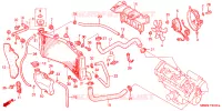 RADIATEUR pour Honda CBR 600 F4 1999