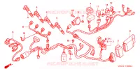 FAISCEAU DES FILS pour Honda CBR 600 F4 1999