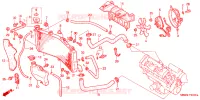 RADIATEUR pour Honda CBR 600 F4 1999