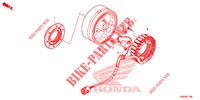ALTERNATEUR pour Honda FOURTRAX 500 FOREMAN RUBICON Hydrostatic 2014