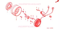 ALTERNATEUR pour Honda FORZA 250 ABS 2001
