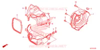 OUIES DE RADIATEUR pour Honda BENLY 110 DOMINO PIZZA 2020