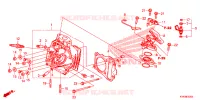 CULASSE pour Honda CRF 110 2024