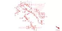 SILENCIEUX D'ECHAPPEMENT pour Honda CRF 110 2024