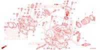 CULASSE pour Honda PIONEER 700 M4 FOREST 2024