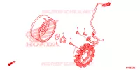 ALTERNATEUR pour Honda CRF 110 2024