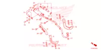 SILENCIEUX D'ECHAPPEMENT pour Honda CRF 110 2024