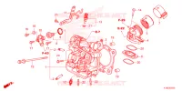 CULASSE pour Honda FORZA 250 ABS TOP CASE 2024