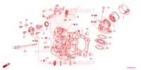 CULASSE pour Honda FORZA 350 VOICE CONTROL 2024