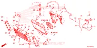 RADIATEUR   VASE D'EXPANSION pour Honda REBEL 1100 2024
